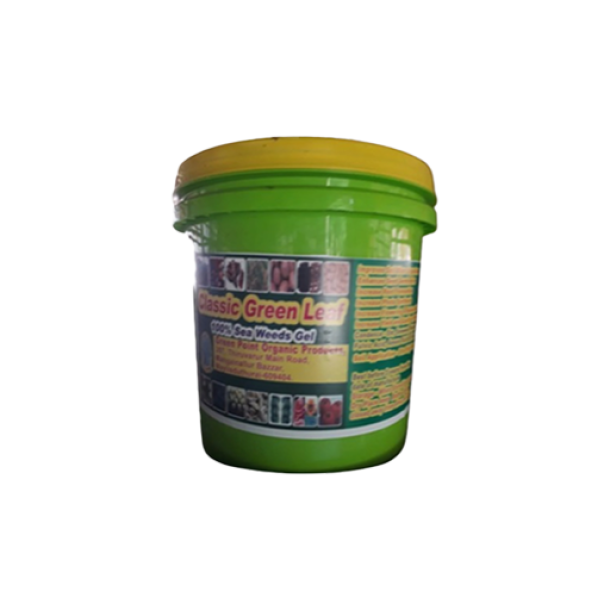 Classic green leaf Seaweed gel