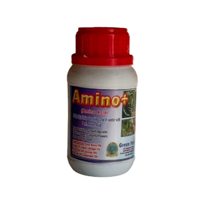 Amino +